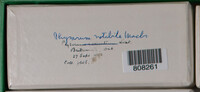 Image Associated With the Occurrence